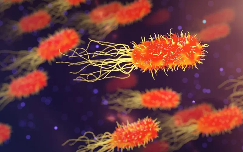 Microrganismos patogênicos Microbiologia de alimentos e os microrganismos patogênicos