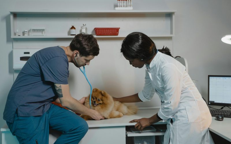 Patologia na Medicina Veterinária Patologia na Medicina Veterinária